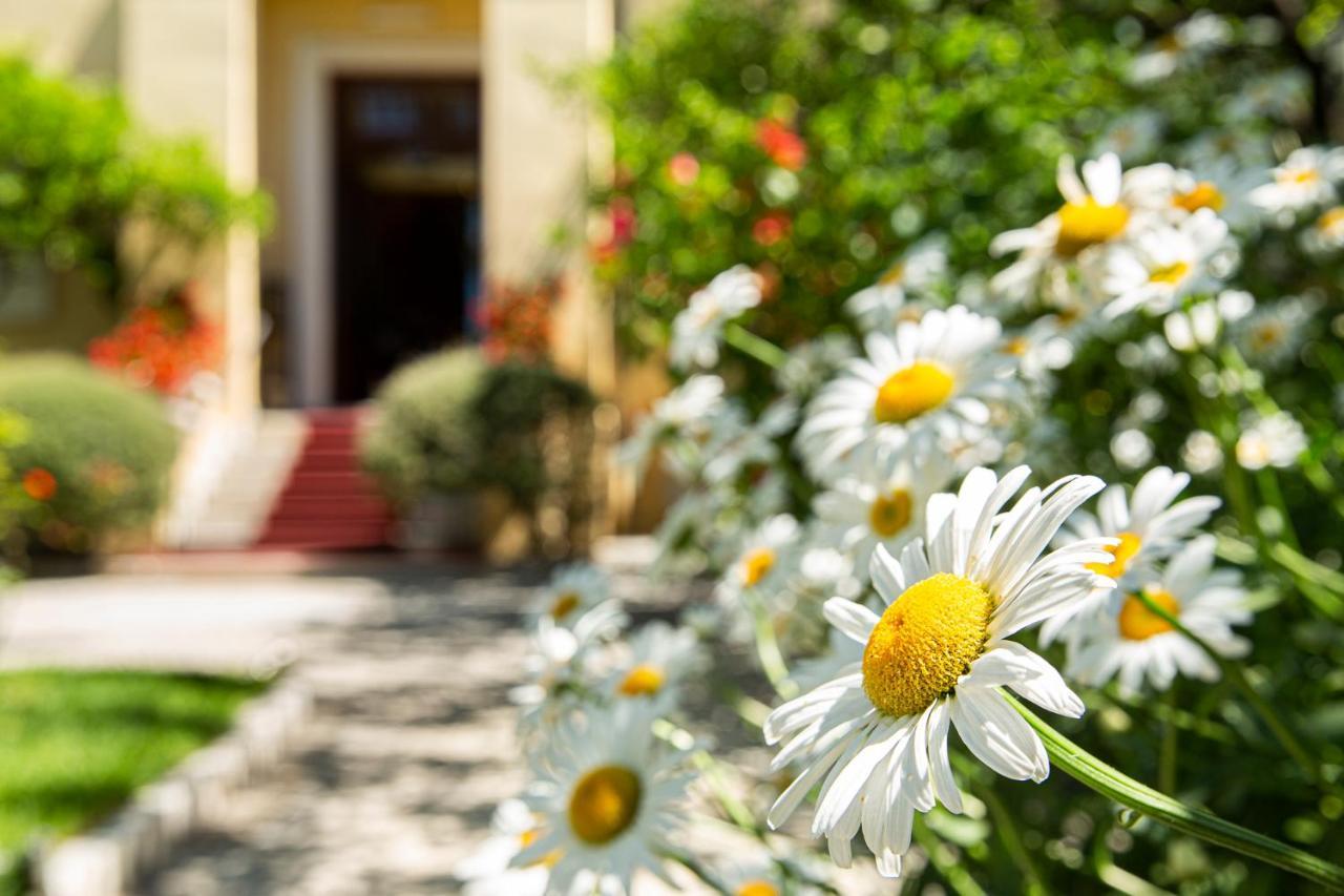 Hotel Villa Elisa & Spa บอร์ดิเกรา ภายนอก รูปภาพ