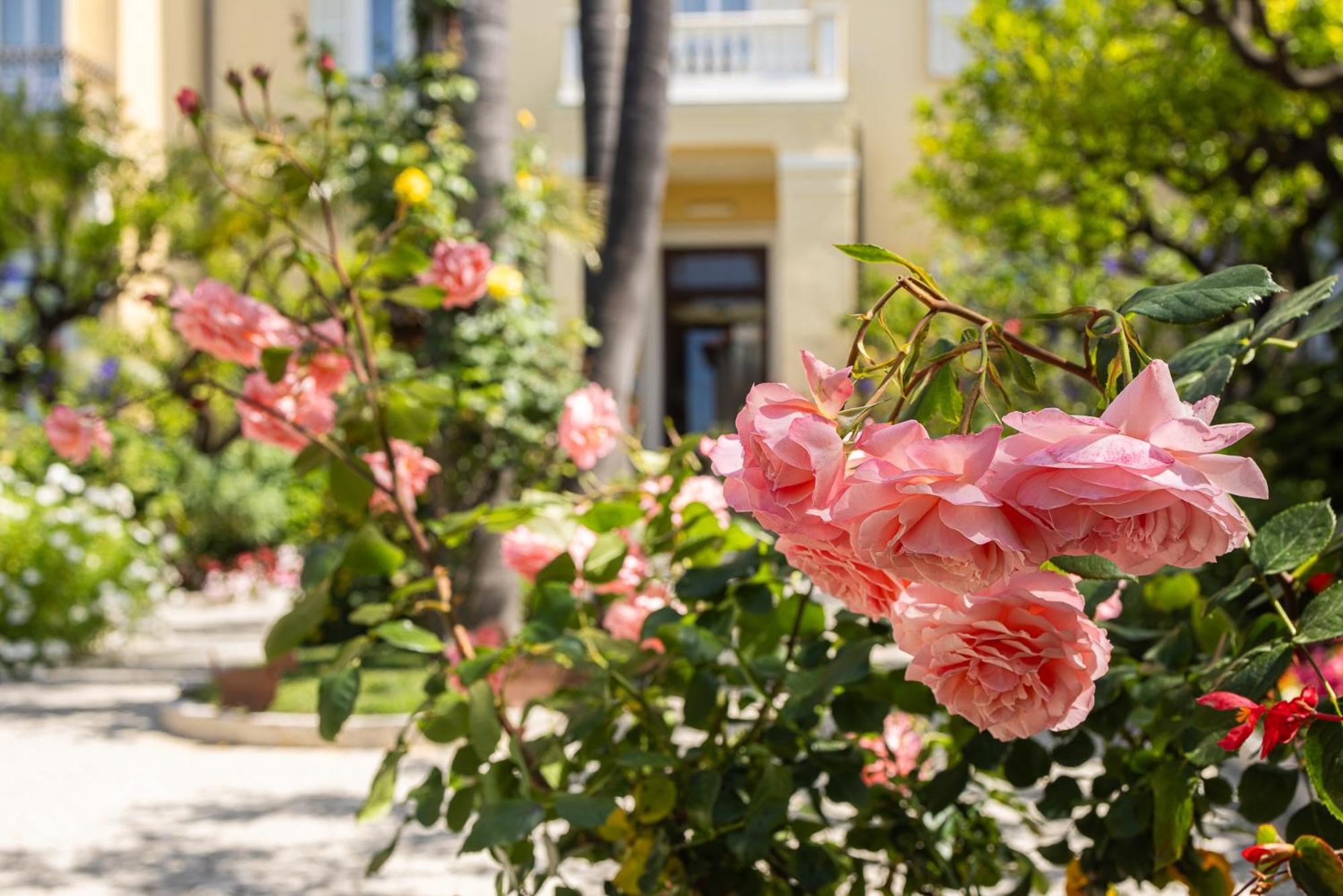 Hotel Villa Elisa & Spa บอร์ดิเกรา ภายนอก รูปภาพ