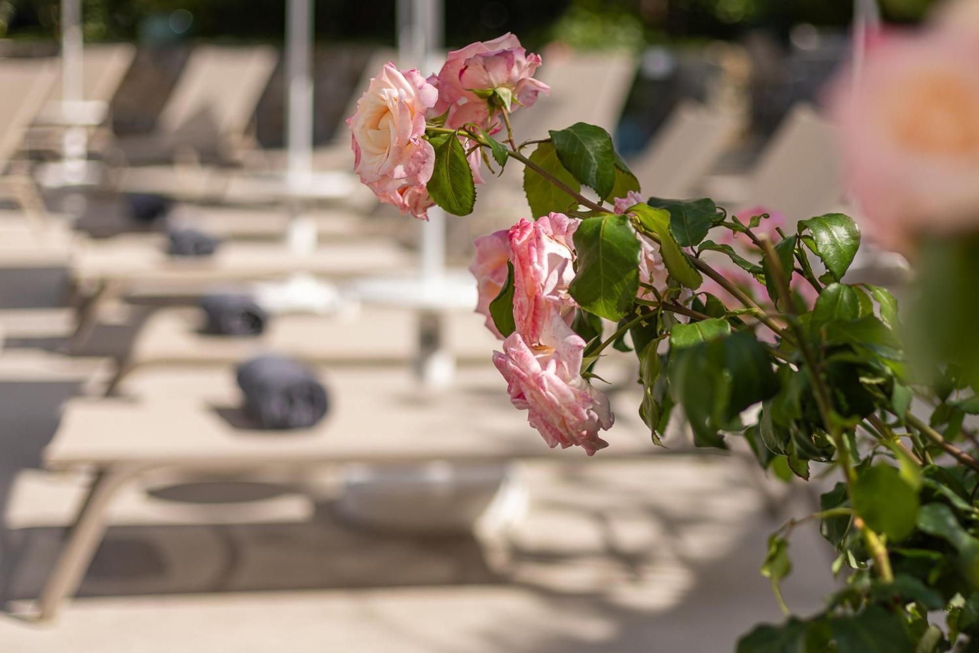 Hotel Villa Elisa & Spa บอร์ดิเกรา ภายนอก รูปภาพ
